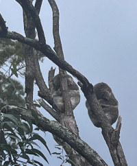 image1
