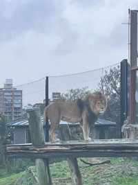 image2 (1)
