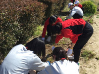 250502_1年HR_奉仕活動 (3)