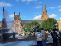 image12
