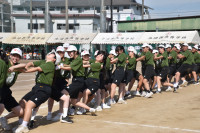 運動会 (478)